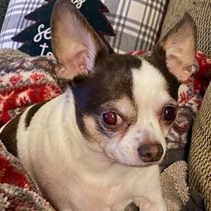 Meet your Posher, Krystal